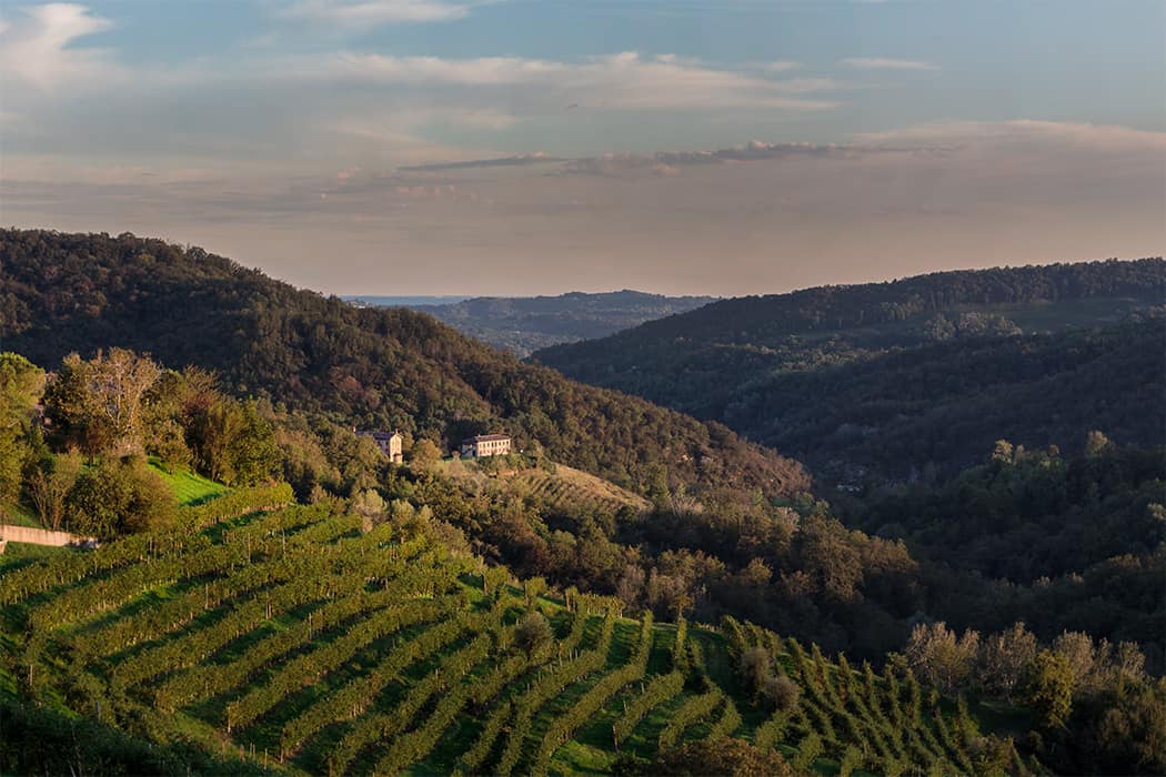 La valle del vino prosecco