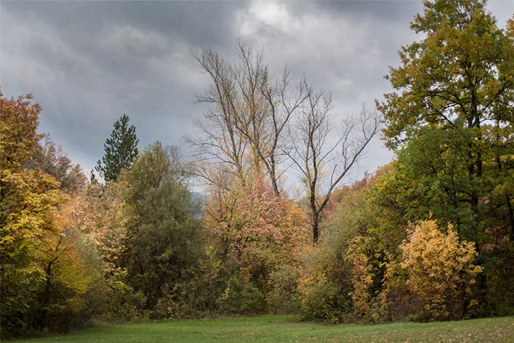 benessere naturale