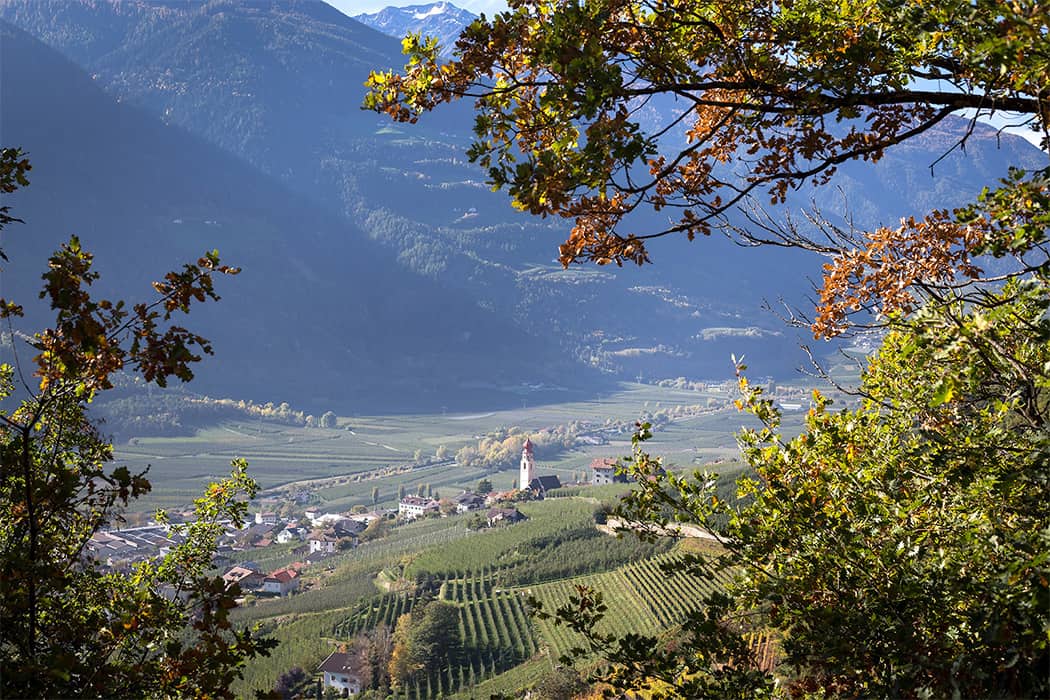 Alto Adige Alpiana Resort