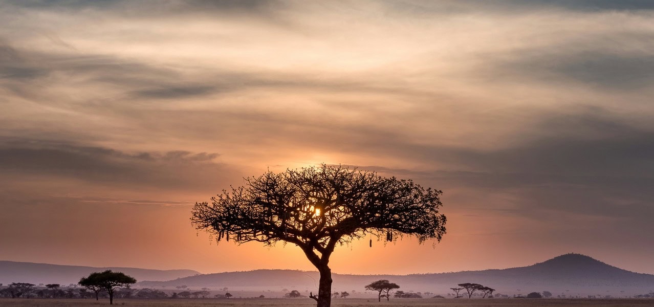 paesaggio della Tanzania